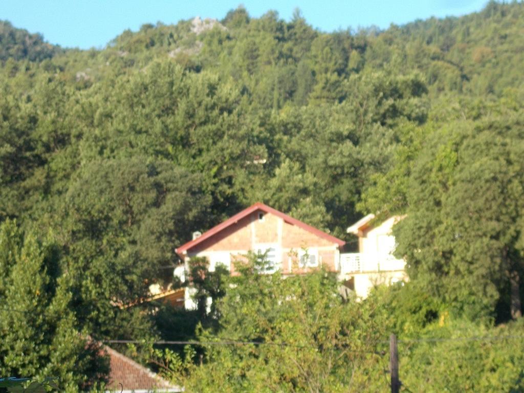 Guesthouse Feel Lake Virpazar Exterior foto