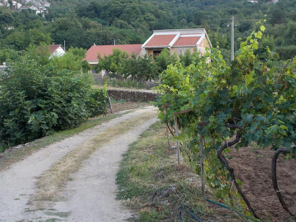 Guesthouse Feel Lake Virpazar Exterior foto